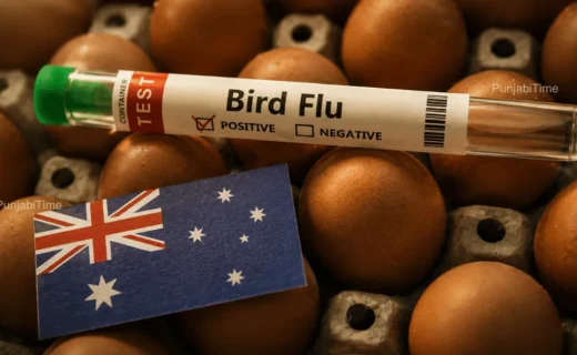 H5N1 Bird Flu Australia