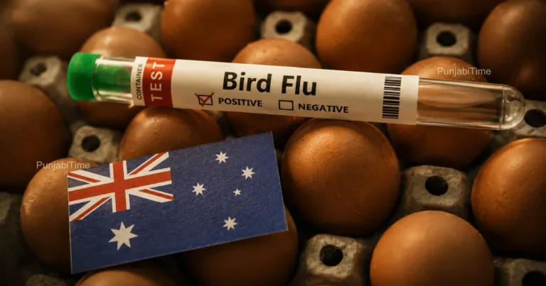 H5N1 Bird Flu Australia