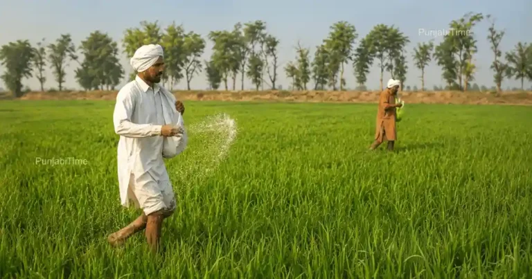 Punjab Urea Shortage