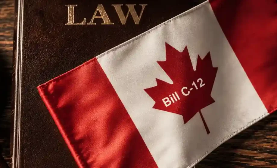 Canada Bill C-12 ਇਮੀਗ੍ਰੇਸ਼ਨ ਅਤੇ ਪੰਜਾਬੀ ਵਿਦਿਆਰਥੀਆਂ ਨਾਲ ਸੰਬੰਧਤ ਪ੍ਰਤੀਕਾਤਮਕ ਹਵਾਈ ਅੱਡੇ ਦੀ ਤਸਵੀਰ