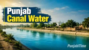 Punjab Canal Water – ਖੇਤ ਵਿੱਚ ਨਹਿਰੀ ਪਾਣੀ ਦੀ ਆਈਕਨ ਪ੍ਰਤੀਕਾਤਮਕ ਤਸਵੀਰ।