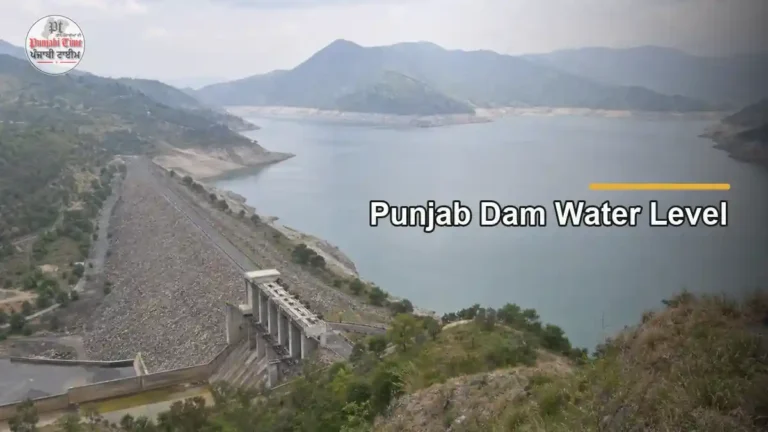 ਭਾਖੜਾ ਡੈਮ ਦਾ ਘਟਿਆ ਜਲ ਭੰਡਾਰ, ਜਿੱਥੇ Punjab Dam Water Level 20 ਸਾਲਾ ઔਸਤ ਤੋਂ ਹੇਠਾਂ ਹੈ (ਪ੍ਰਤੀਕਾਤਮਕ ਤਸਵੀਰ)