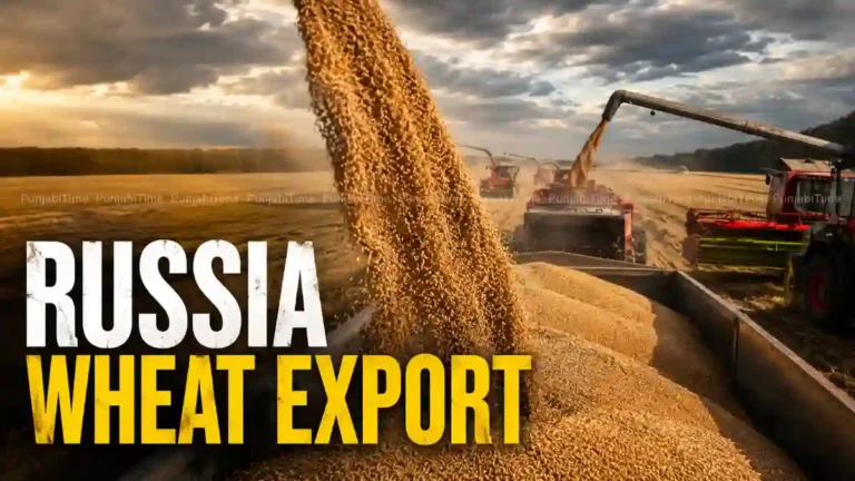 Russia Wheat Export ਸੰਕਟ ਦੌਰਾਨ ਅਜ਼ੋਵ ਸਾਗਰ ਬੰਦਰਗਾਹ 'ਤੇ ਖੜ੍ਹਾ ਅਨਾਜ ਕਾਰਗੋ ਜਹਾਜ਼।