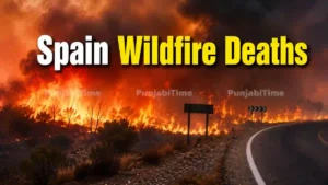 Spain Wildfire Deaths - ਅਲਮੇਰੀਆ ਸਪੇਨ ਵਿੱਚ ਜੰਗਲੀ ਅੱਗ ਤੇ ਬਚਾਅ ਕਾਰਜ ਦੀ ਪ੍ਰਤੀਕਾਤਮਕ ਤਸਵੀਰ