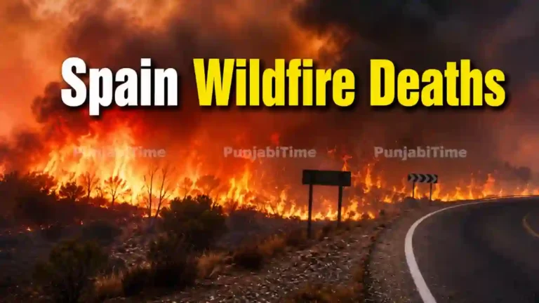 Spain Wildfire Deaths - ਅਲਮੇਰੀਆ ਸਪੇਨ ਵਿੱਚ ਜੰਗਲੀ ਅੱਗ ਤੇ ਬਚਾਅ ਕਾਰਜ ਦੀ ਪ੍ਰਤੀਕਾਤਮਕ ਤਸਵੀਰ
