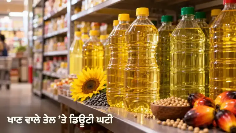 ਦੁਕਾਨ ਵਿੱਚ ਖਾਣ ਵਾਲੇ ਤੇਲ ਦੀਆਂ ਬੋਤਲਾਂ, ਸੰਕੇਤਕ ਦ੍ਰਿਸ਼